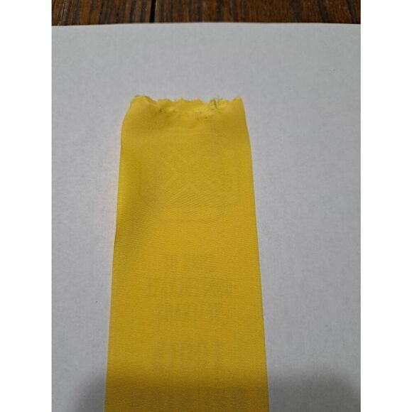 1995 SCV Sons Confed Veterans 100th Reunion Chattanooga TN Dept Member Ribbon - Picture 6 of 6